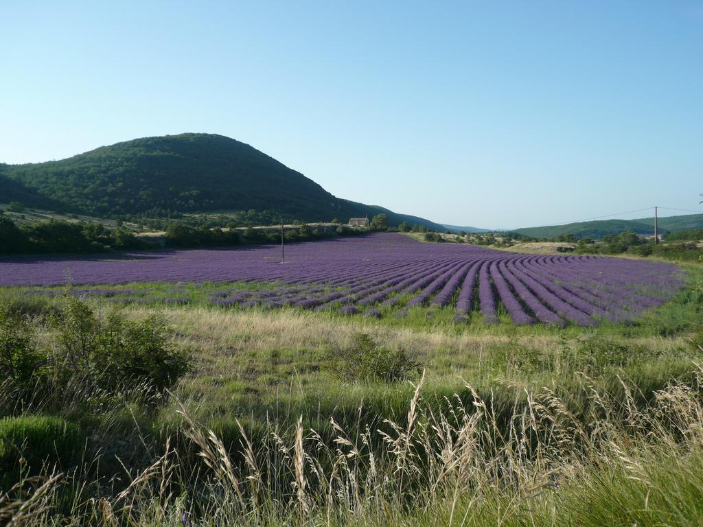 La Grange De La Lavande Lardiers Buitenkant foto